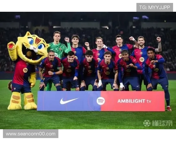 加维拉菲尼亚合作